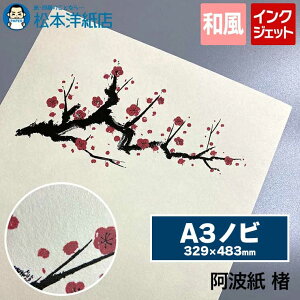 g  / / A3mr 329×483, CNWFbgΉ 痿CNΉ CNΉ avg a ip pp 荗 ʈΉ