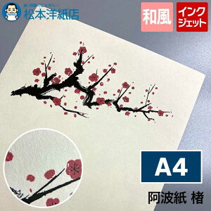 g  / / A4 , CNWFbgΉ 痿CNΉ CNΉ avg a ip pp 荗 ʈΉ