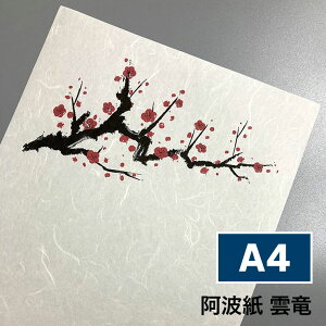g _ 55g/ A4TCY