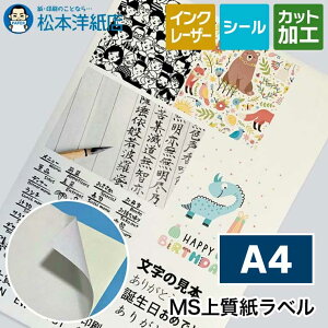 MS㎿x A4TCYF100