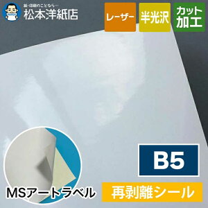 MSA[gxuĔvB5