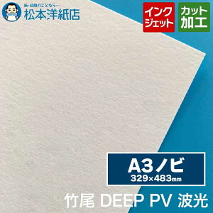 yiE11[i\z| DEEP PV g A3mr(329×483)