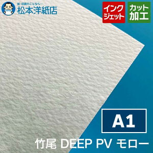 | DEEP PV [ A1 CNWFbg `V |X^[ tC[ j[ ʐ^ J^O Ȃ ʂ肵Ȃ