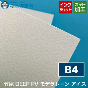 | DEEP PV fg[ ACX B4, CNWFbg  vdl |X^[ Жʈ E痿 ʐ^ CXg Tv 