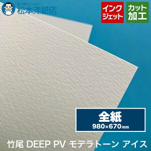 | DEEP PV fg[ ACX S 980×670mm, CNWFbg   J[ ʐ^ J^O CXg G  vi