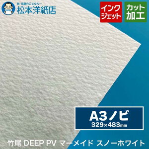 | DEEP PV }[Ch Xm[zCg A3mr 329×483