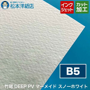 | DEEP PV }[Ch Xm[zCg B5TCY