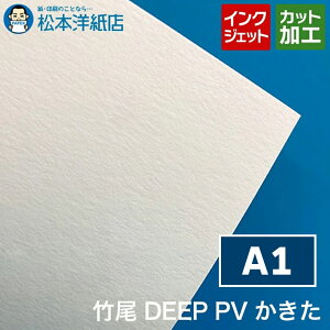| DEEP PV  A1, CNWFbg   J[ ʐ^ J^O CXg G  vi