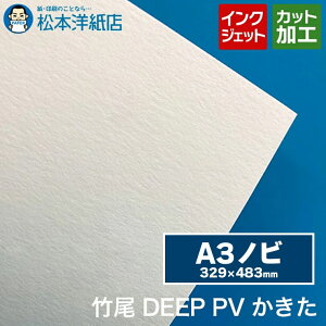 | DEEP PV  A3mr(329×483)
