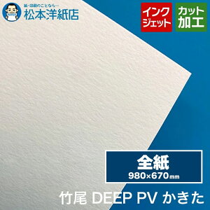 | DEEP PV  STCY(980×670mm)