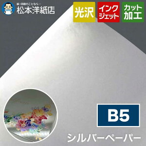 Vo[y[p[ F B5, CNWFbg  |X^[ h쐬 J[h ҏ Tv ^bN 