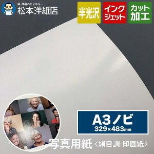 ʐ^pڒ 掆 A3mrTCY 329×483mm 100