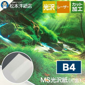 MS光沢紙 127.9g/平米 B4, レーザープリンタ チラシ印刷 パンフレット作成 カタログ 写真 片面印刷 断裁可能