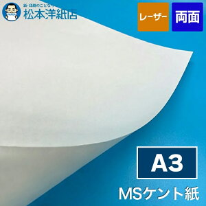 MSPg A3