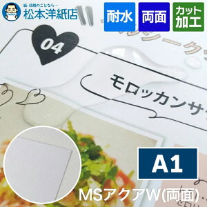 MSANAW  A1, [U[v^[ ϋv Ogp\ j[ |X^[쐬 n} ~l[gsv MLL XRAJ[h