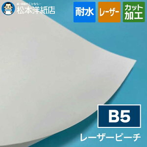 [U[s[` 0.12mm B5, ϐ [U[v^[Ή J[Rs[ ϋv Ogp\ XebJ[ OV[ Ⓚ ~l[gsv ʈΉ