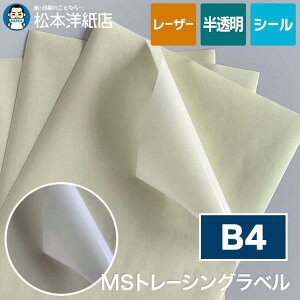 MSg[VOx B4, IWiV[ ix rpx S V[ [U[v^[p