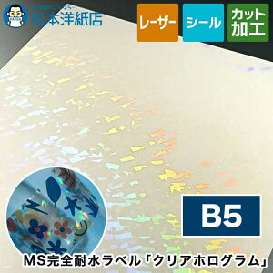 MSSϐxuNAzOvB5, [U[v^[p ϐtBx NAzO S gi[蒅H PETf