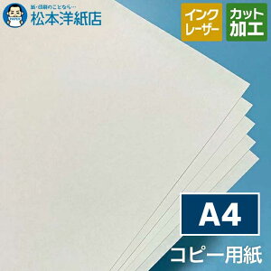 Rs[p A4y͔zsz, Rs[@Ή [U[v^[Ή CNWFbgv^[Ή [p p