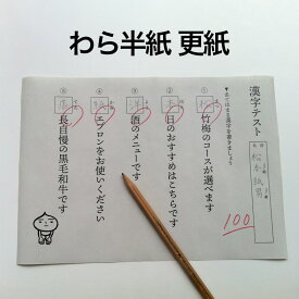 わら半紙 学校用 A4 / A3 / A2 / A1 / B5 / B4 / 全紙, 教育現場 児童生徒 プリント配布 おしゃれな雑貨 ペットの敷材 新聞紙 温かみのある色合い チラシ TV掲載品