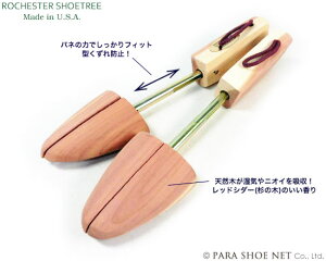 ROCHESTERi`FX^[jbhV_[V[c[ fB[X wlCpičEVRؐV[L[p[EV[g[jyTCYiX[TCYEVfTCYj22cmA