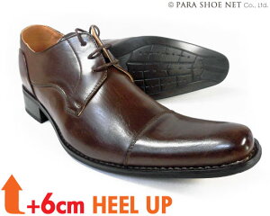 MM/one Om[Y Xg[g`bv V[Nbgq[Abvig+6cmAbvjrWlXV[Y CY3EiEEEj_[NuE yY amC^TCYiX[TCYj24.0cm