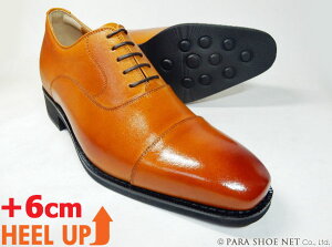 ANCIEN CREPINS {v HXg[g`bv V[Nbgq[Abvig+6cmAbvjrWlXV[Y LiCguEEFjCY3EiEEEj23.5cmA24cmi24.0cmjyTCY