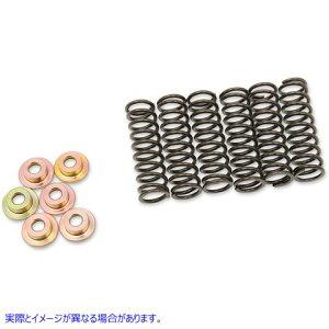  Nb`LbgAfBXNAXvO o[lbg CLUTCH SPRING SET YAM 505-42-06031 DRAG 11310643