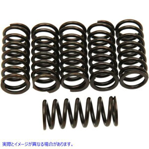 ��� �o�[�l�b�g�N���b�`�X�v�����O �o�[�l�b�g BARNETT CLUTCH SPRINGS 501-50-06042 DRAG 2012356