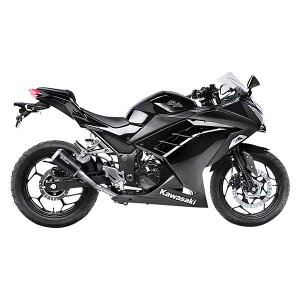  LV-10 ubNGfBV XbvI}t[ Ir` LV-10 Black Edition Muffler - Ninja 300 15205BU DRAG 18113486