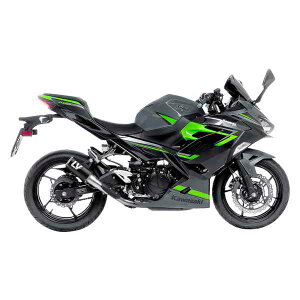  Ir` LV Corsa Muffler - Carbon Fiber 15400CU DRAG 18114304
