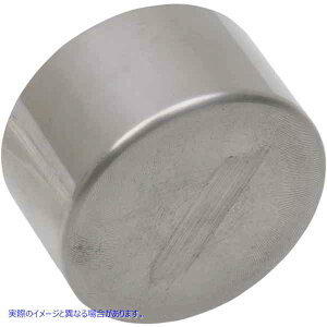  4sXgfBt@V{ALp[sXg ptH[}X}V[ Caliper Piston - Stainless Steel - 1-1/8 x 3/4 0051-1400 DRAG DS325993