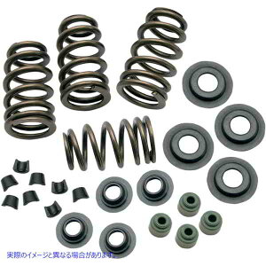 ��� �o���u�X�v�����O - .650�C���` - �c�C���J�� �G�X�A���h�G�X �T�C�N�� Valve Springs - .650 - Twin Cam 106-5909 DRAG 09262069