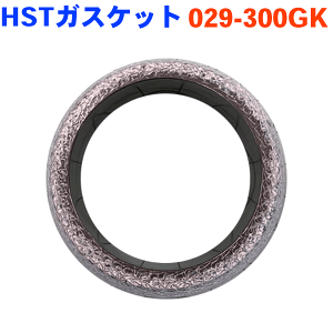 HST KXPbg 029-300GKKVB BFA p[cLO