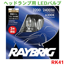 ヘッドランプ用 LEDバルブ 12V/24V兼用 H4 6300ケルビン 2個入 4輪用 四輪用 RK41 レイブリック シールドビーム /RAYBRIG
