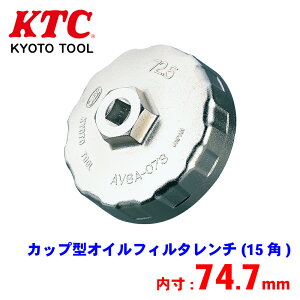 �yP10�{��8/24�`8/27�zKTC �J�b�v�^�I�C���t�B���^�����` AVSA-075D �p�[�c�L���O
