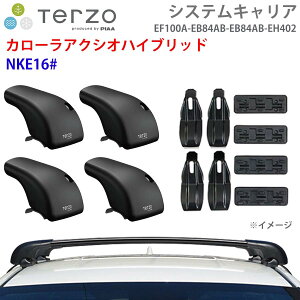 TERZO �e���b�c�H �V�X�e���L�����A �J���[���A�N�V�I�n�C�u���b�h NKE16# ��䕪 EF100A EB84AB EB84AB EH402 �t�b�g �G�A���o�[ ��t�z���_�[ �p�[�c�L���O E1E1