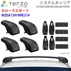 TERZO �e���b�c�H �V�X�e���L�����A �J���[���X�|�[�c MZEA12H NRE21# ��䕪 EF100A EB84AB EB92AB EH447 �t�b�g �G�A���o�[ ��t�z���_�[ �p�[�c�L���O E1E1