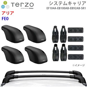 TERZO �e���b�c�H �V�X�e���L�����A �A���A FE0 ��䕪 EF104A EB100AB EB92AB SR1 �t�b�g �G�A���o�[ ��t�z���_�[ �p�[�c�L���O E1E1