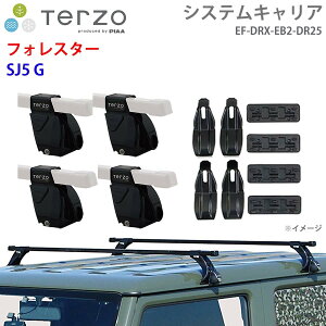 TERZO �e���b�c�H �V�X�e���L�����A �t�H���X�^�[ SJ5 G ��䕪 EF-DRX EB2 DR25 �t�b�g �X�N�G�A�o�[ ��t�z���_�[ �p�[�c�L���O E1E1