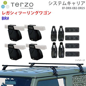 TERZO �e���b�c�H �V�X�e���L�����A ���K�V�B�c�[�����O���S�� BR# ��䕪 EF-DRX EB2 DR25 �t�b�g �X�N�G�A�o�[ ��t�z���_�[ �p�[�c�L���O E1E1