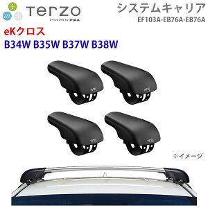 TERZO �e���b�c�H �V�X�e���L�����A eK�N���X B34W B35W B37W B38W ��䕪 EF103A EB76A EB76A �[ �t�b�g �G�A���o�[ �V���o�[ �p�[�c�L���O E1E1