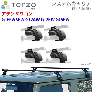 TERZO �e���b�c�H �V�X�e���L�����A �A�e���U���S�� GJEFW5FW GJ2AW GJ2FW GJ5FW ��䕪 EF11BLM EB2 �[ �t�b�g �X�N�G�A�o�[ �p�[�c�L���O E1E1