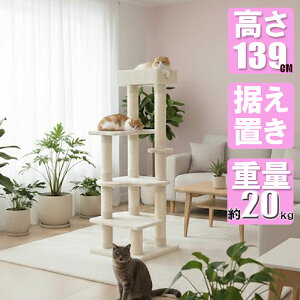 n[g^̃fUC dĈ萫̂ Lbg^[ X u ȃXy[X R[i[uΉ 邢x[WF CW-T0923  L^[ 139cm