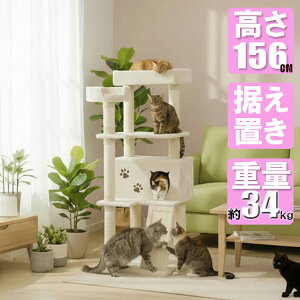 邢x[WF Lbg^[ uX 傫ȔL CW-T0922 156cmyCɂȂjICƍD]łzlԗpƋ[J[nlR^[ vȖؐnEX catwings 