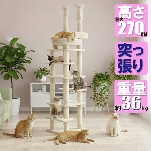 ˂^E]|h~fUC Lbg^[ i VjAΉ ȃXy[X X 邢x[WFCW-RT021 231`270cm܂őΉyCɂȂjICƍD]łzlԗpƋ[J