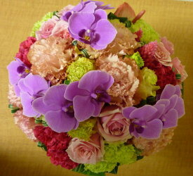 [誕生日花][お祝い花]におしゃれなラウンドアレンジ【HLS_DU】【RCP】【楽ギフ_メッセ入力】