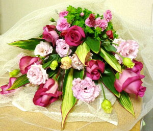 [o][a ][j][ ][t̉ԑ]ɂ߂łyHLS_DUzyRCPzyyMt_bŹz