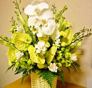 [][ ][][Ӓ][mAW]yHLS_DUzyRCPzyyMt_bŹz[ybg䋟]~