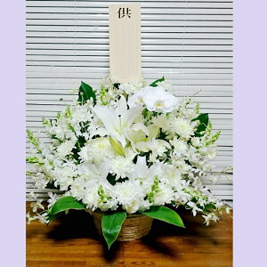 [][][ [ފ݉][䋟e][䋟sN] ~Mtg[Ӓ][AWg][ybg䋟]yHLS_DUzyRCPzyyMt_bŹz